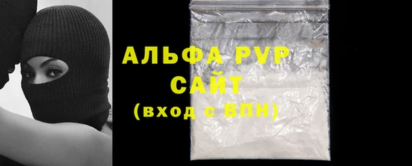 СК Абинск