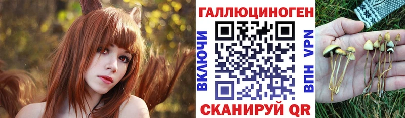 mega как войти  Нефтегорск  Галлюциногенные грибы MAGIC MUSHROOMS  где купить  